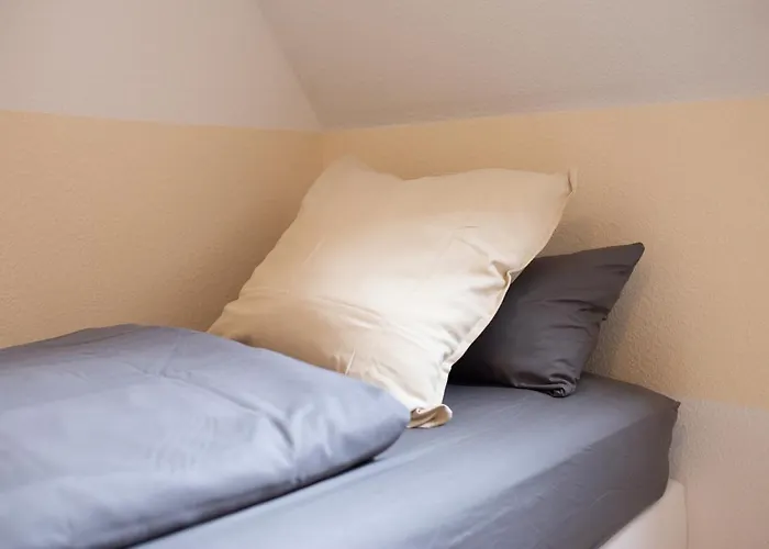 Fullhouse - Halle - Ku15